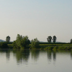 U vody