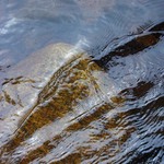 Otava