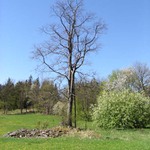Přírodní park Džbány na jaře 4.05.2003