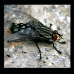 Pozor, to nejni hezký pohled!!!