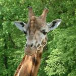 Prostě se ráda fotím...