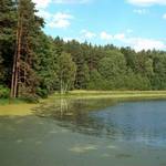 Rybník