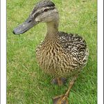 Pozdrav z výletu :-)