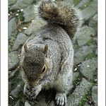 Pozdrav z výletu :-) II