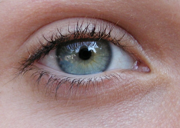 Míša