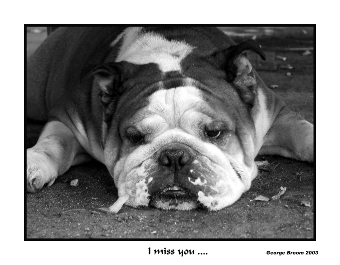 I miss you ....