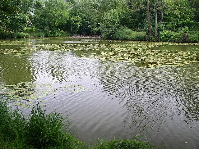 jen tak