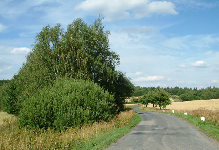 Silnice u Bedlna