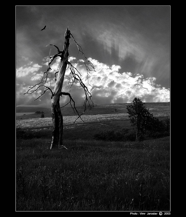 - NARUŠENÉ LINIE -