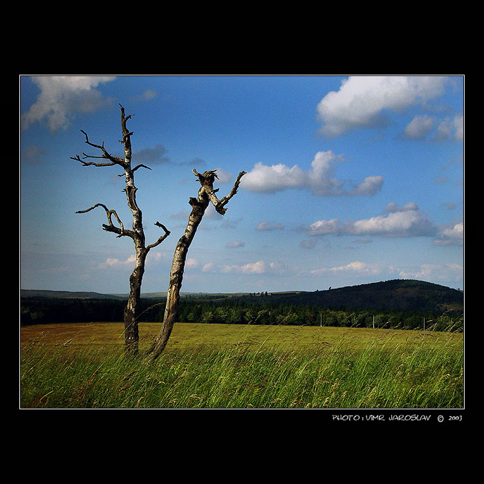 - U  NÁS  - Jen tak -