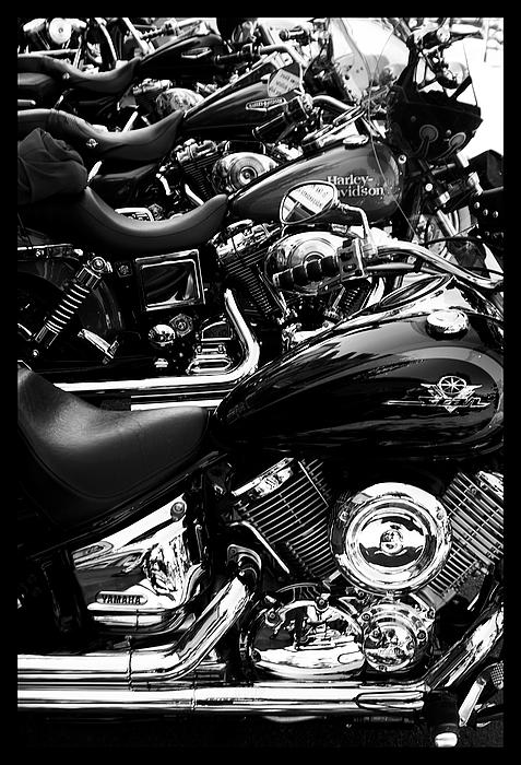 Rada koni <br>(Hollister 2003 California )