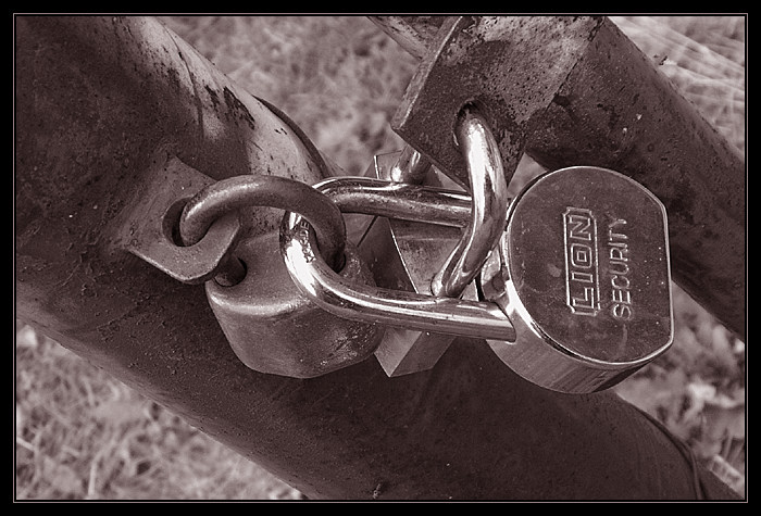 Lion Security