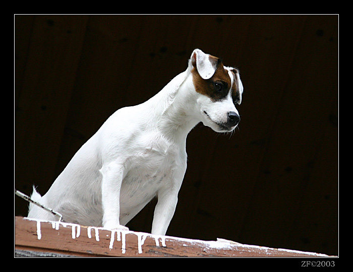 Čerstvě natřen :-)