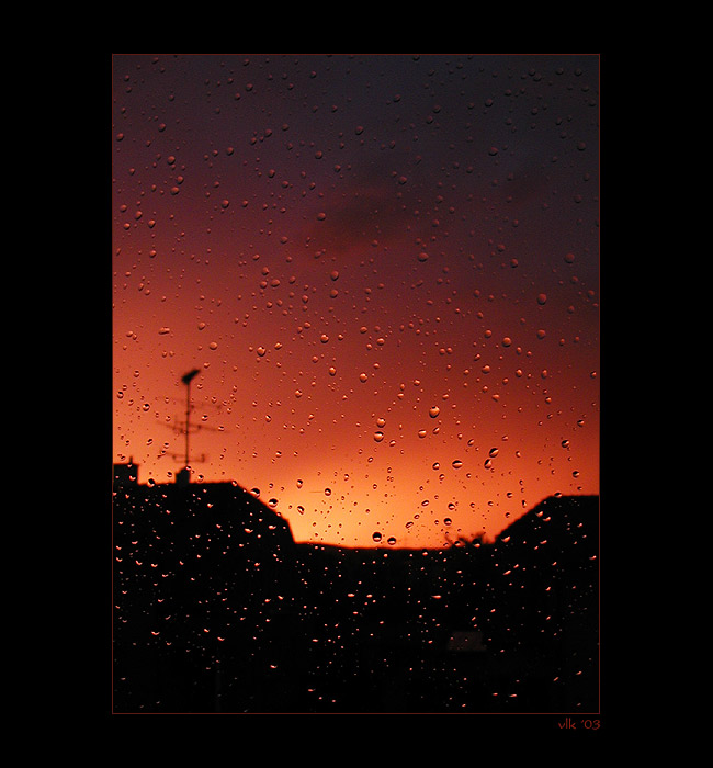 Západovka deštivá