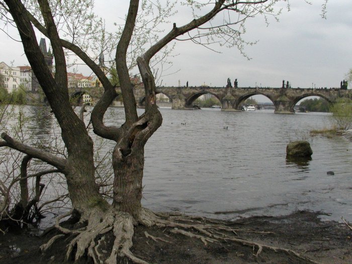Karlův most