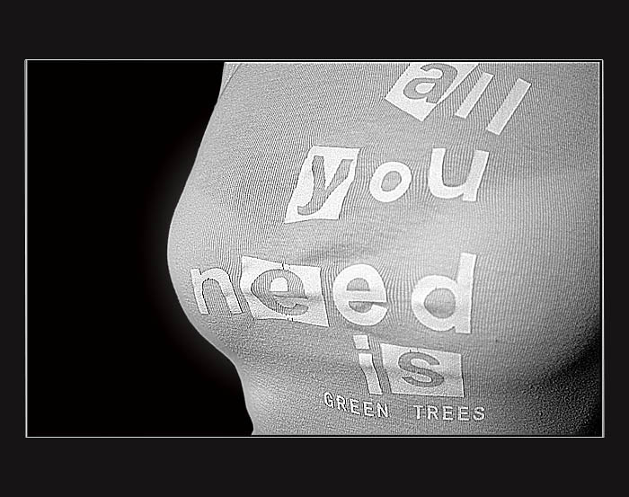 Pro milovníky stromů