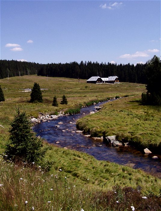 Rybárna