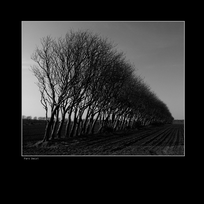 Kam až oko dovidí...