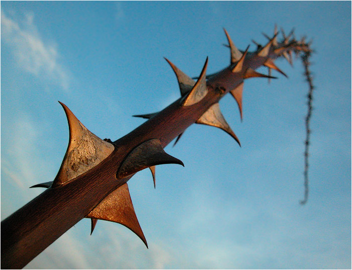 □□□ per aspera ad astra