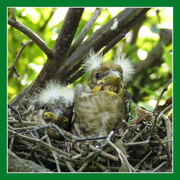 Dlask 3 - pohled na svět.