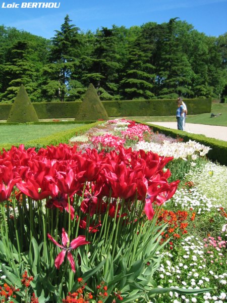 Les Fleurs du Parc de Sceaux