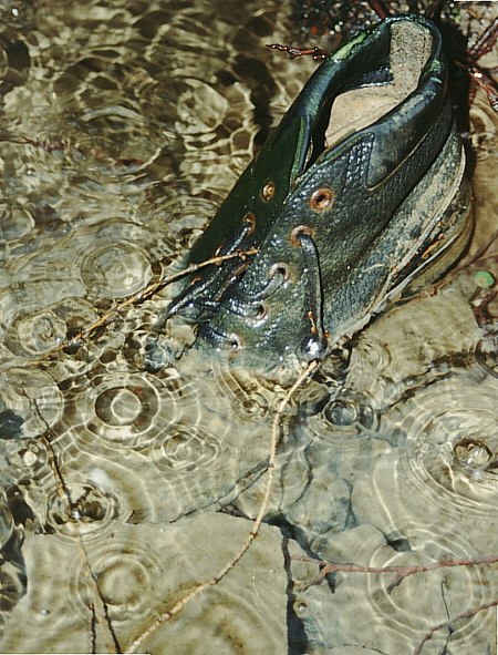 bota