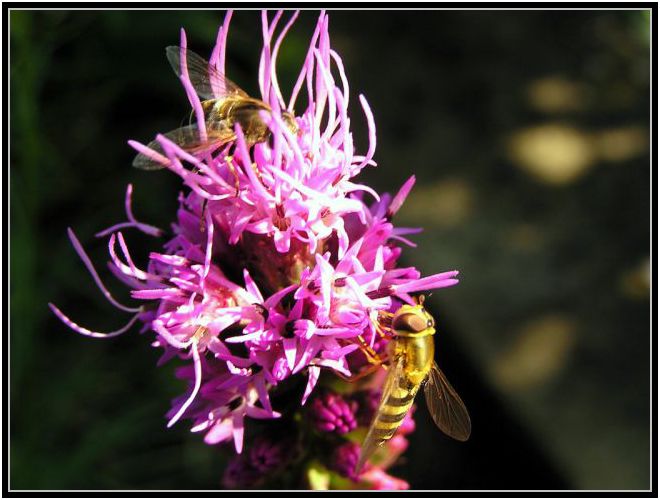 Mařko, neschovavej se mi tam!!