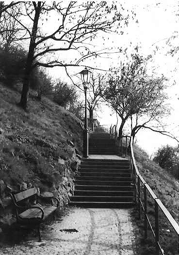 Cesta na Vyšehrad