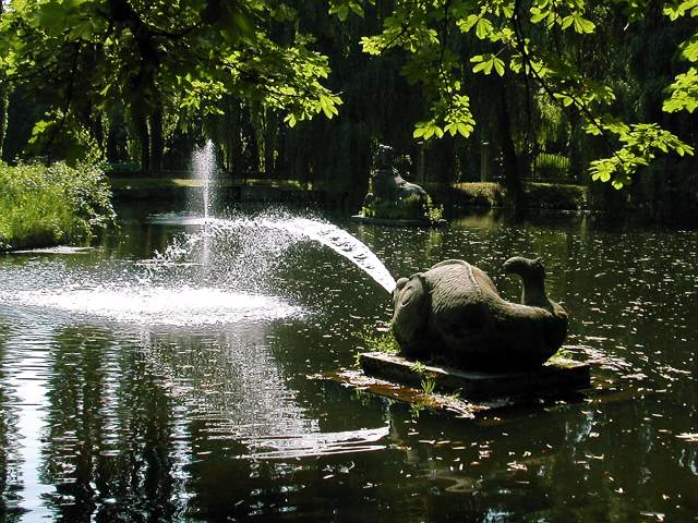 Kamenná ryba