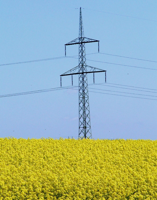 Zlatá elektrifikace