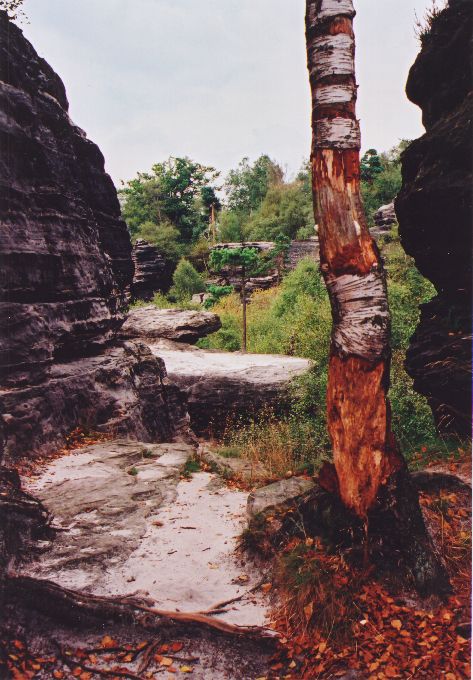 Tiské skály