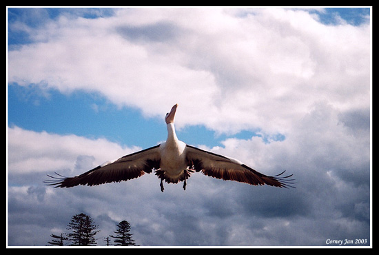 Drzte sa ...pristavame !!