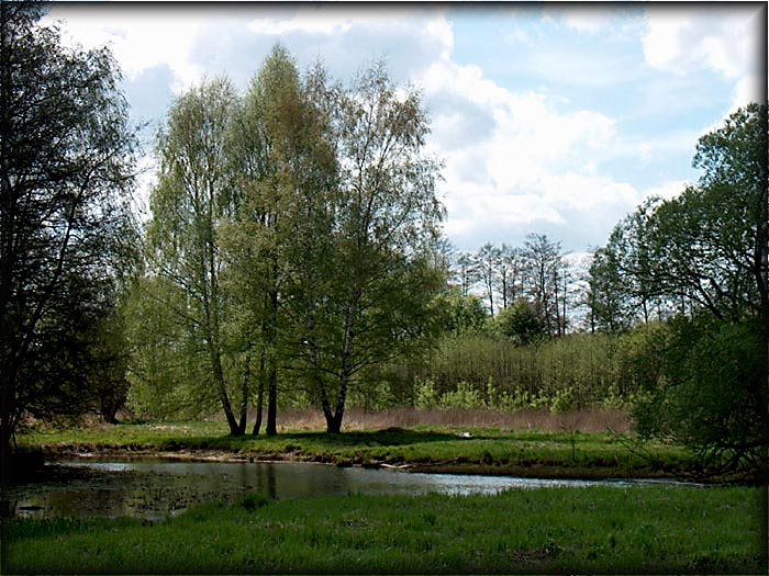 rodinka