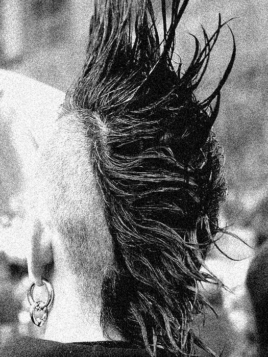 Punk's not dead