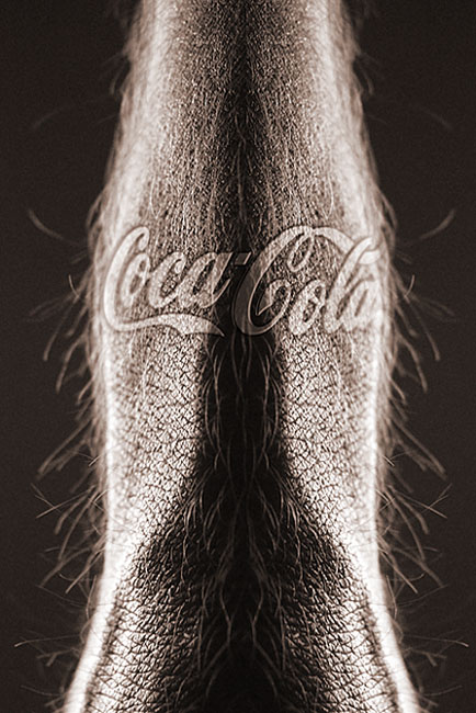 Chlpatá Cola