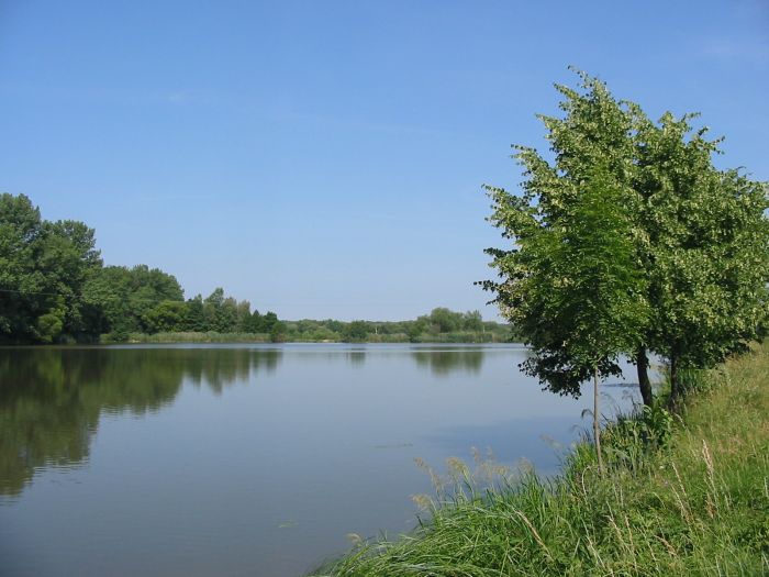 Rybník u Chropyně