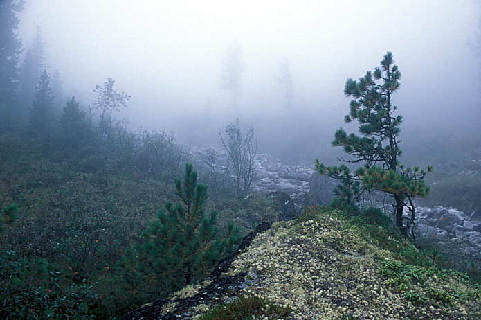 Horská mlha