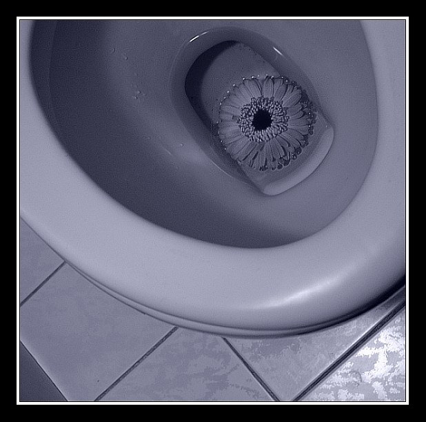 Co chyba na Davidovej fotke..