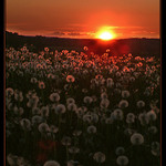 ..:::  INFERNO  :::..