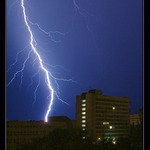 ..:: Blescus urbanicus ::..