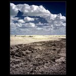 jedno letní odpoledne...