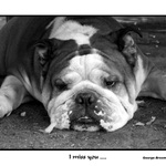 I miss you ....