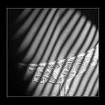 hra světla a stínů II