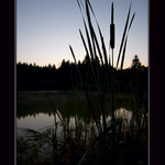 podvečerní Šumava