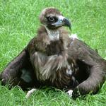 Nepříjemný pohled ...