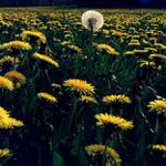 jo to ja kdyz byla ve vasem veku... :)