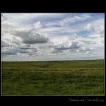 <b><i>Niekde po ceste</i></b>