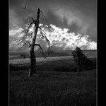 - NARUŠENÉ LINIE -