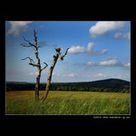 - U  NÁS  - Jen tak -