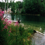 Počátek léta na jezírku